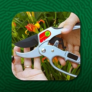 pruners, ratchet pruners, pruning shears, 