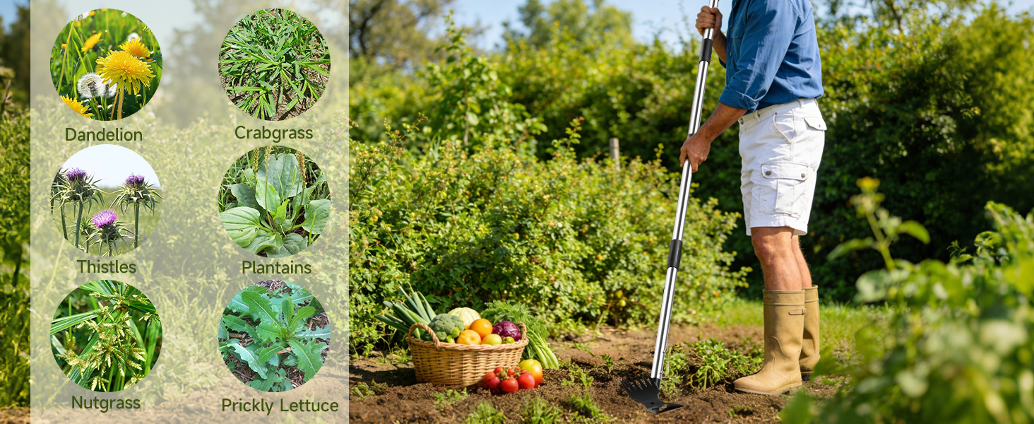 weed puller tool with long handle