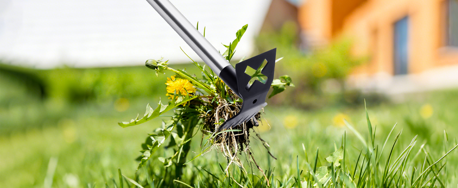 garden hoe for weeding