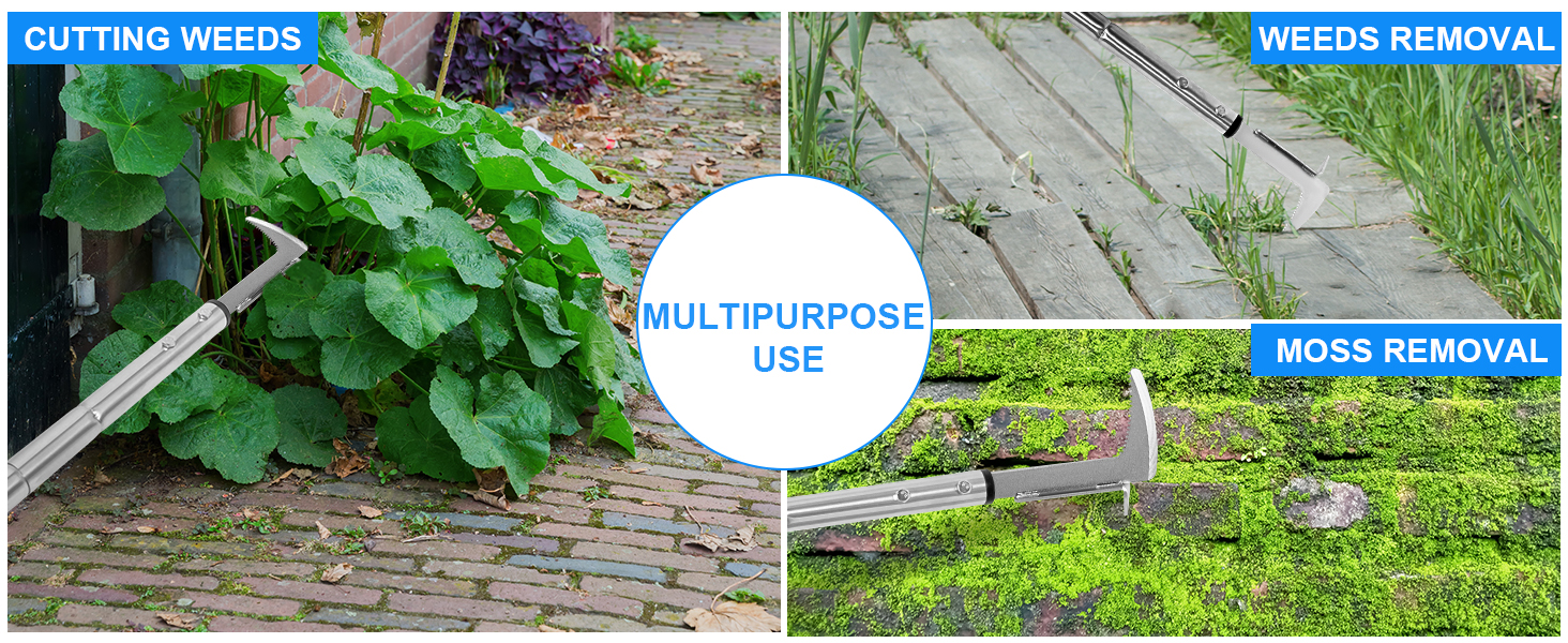 Durable Crevice Weeding Tool