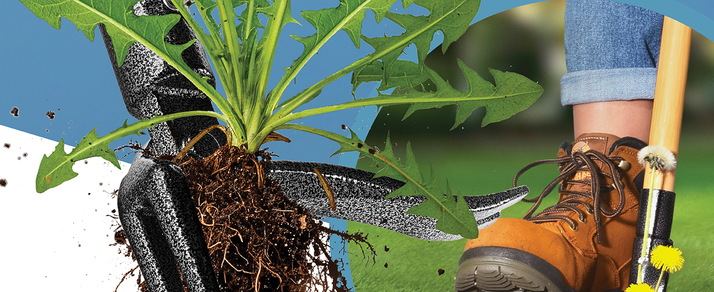 Weed Puller Tool