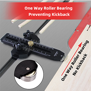 One Way Roller Bearing