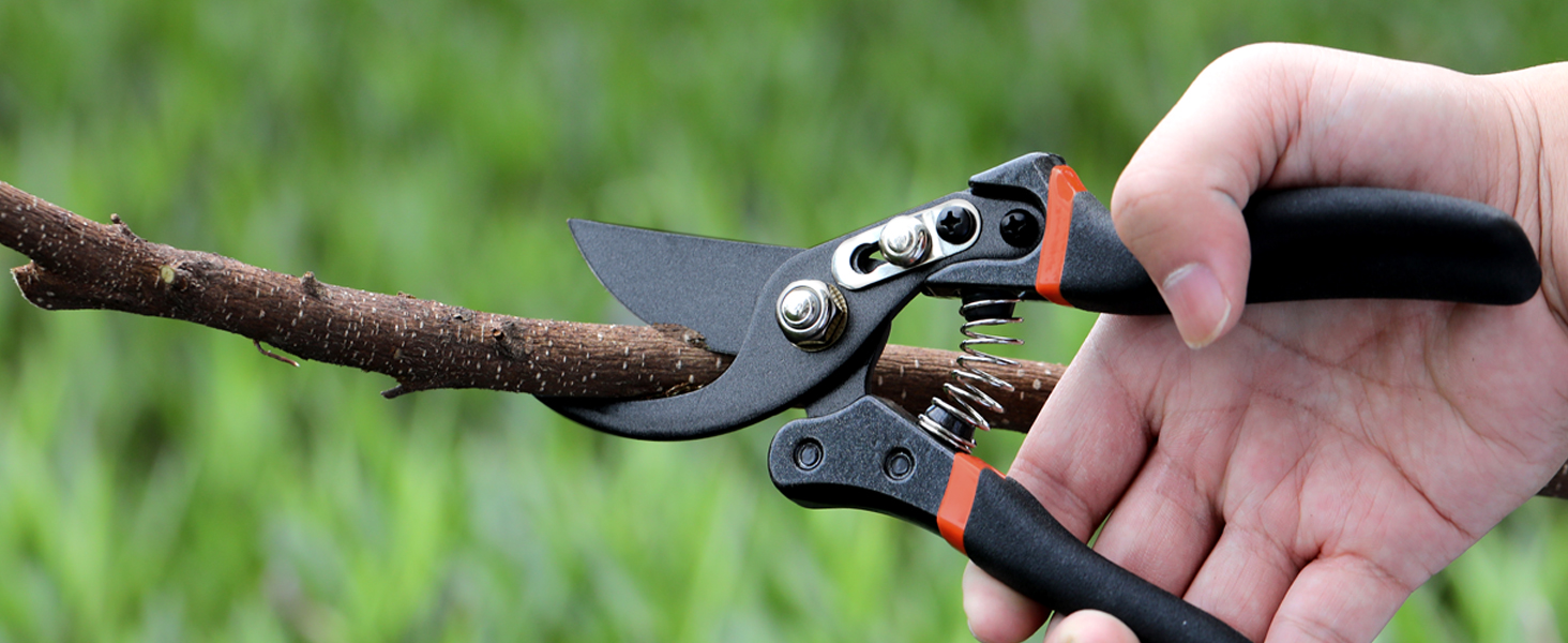 pruning shears