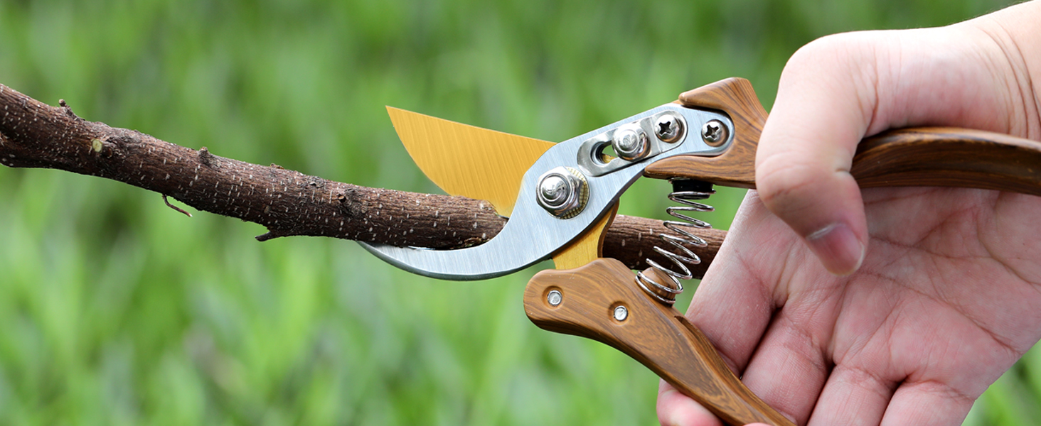 kitchen shears heavy duty