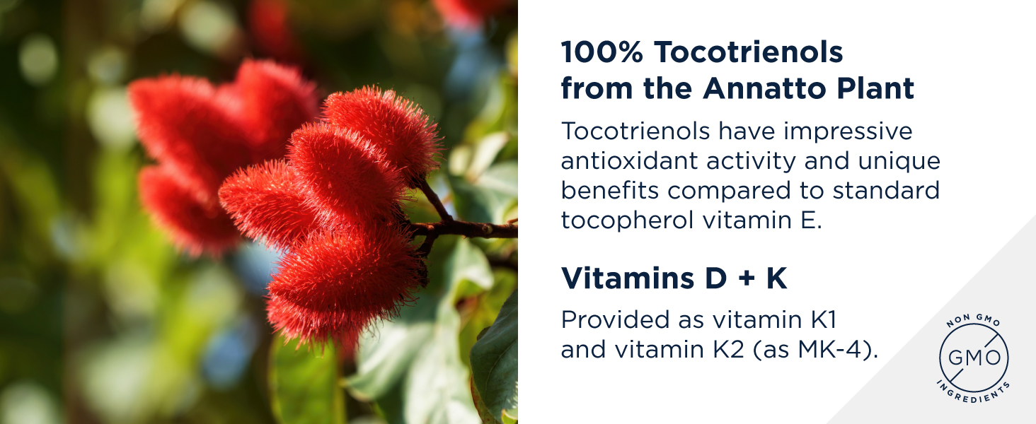 womens daily multivitamins womens multivitamin womens multivitamin capsules