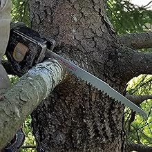 Caliastro 9-Inch Wood Pruning Reciprocating Sawzall Blade