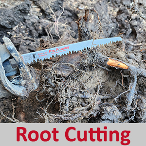 Caliastro Pro Pruning Root Cutting