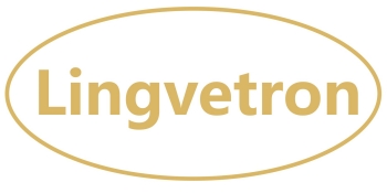 Nice gadgets brought to you by Lingvetron 29 years IT professional and in online selling