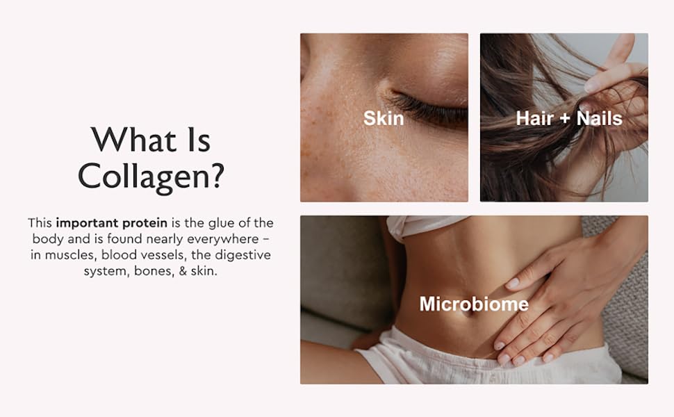 multi collagen powder supplement