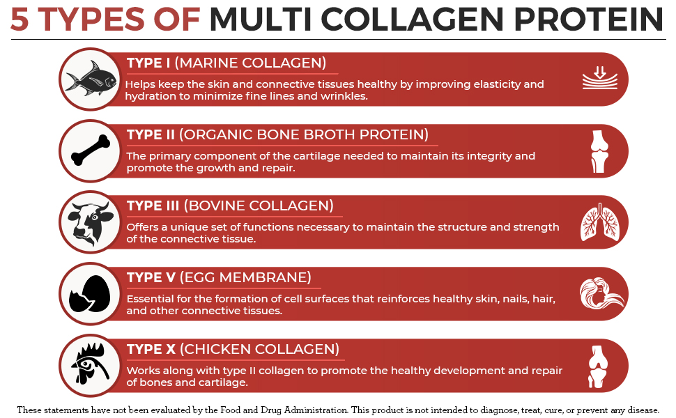 Types of Collagen