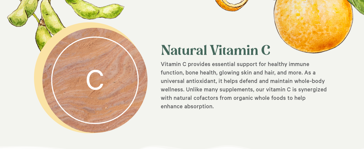 B-vitamins: essential to help sustain our daily energy, mood, and optimal function of immune systems