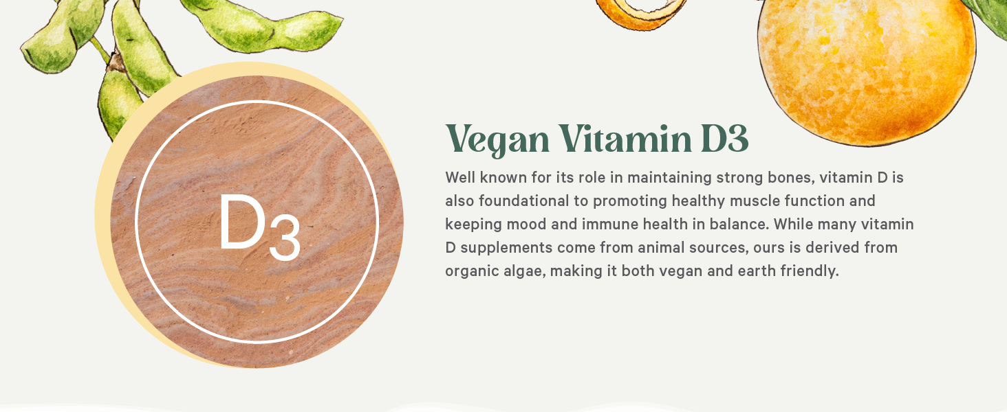 Vitamin D promotes healthy bones and muscles and helps keep mood and immune health in balance