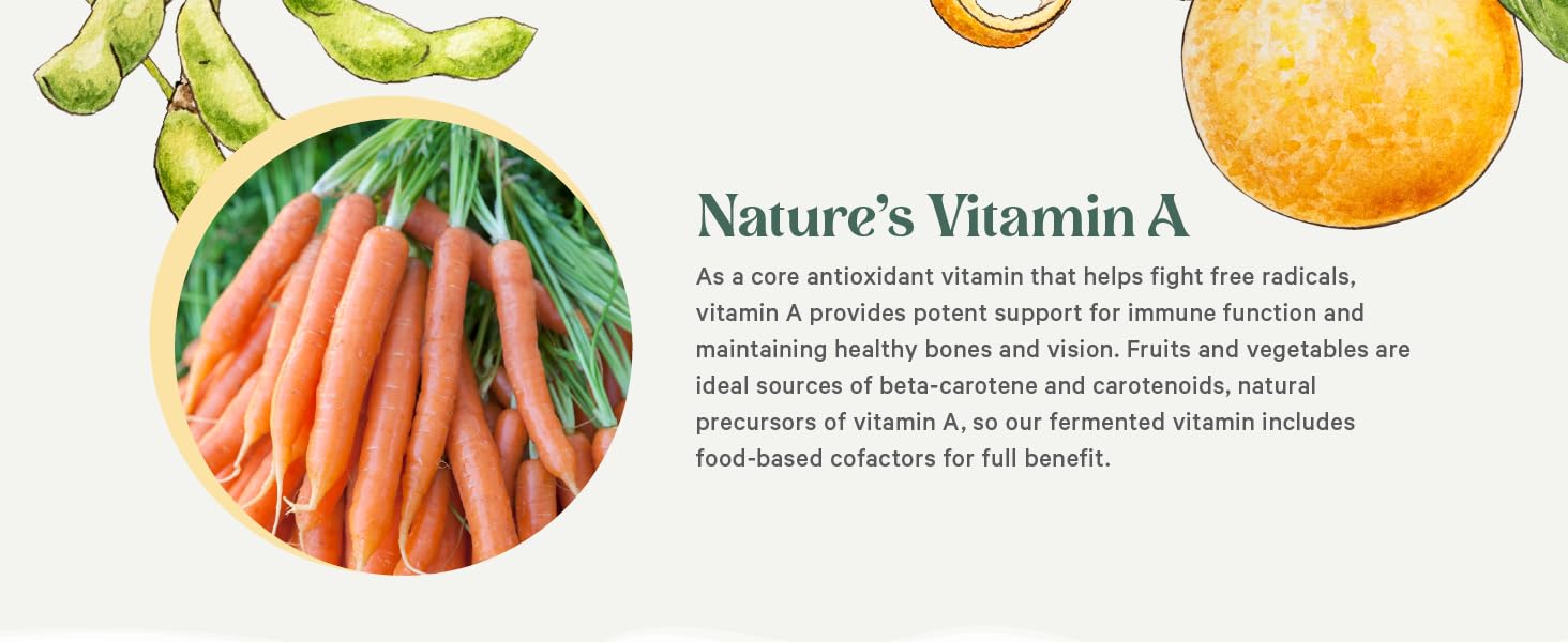 Vitamin A is a core antioxidant that supports optimal immune, bone, and eye health
