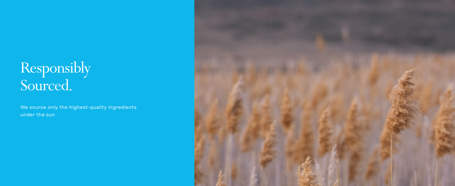 bone vitamins women tablets pills men carbonate 1000mg capsule chews