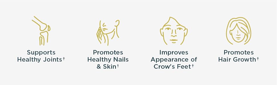 Ancient Nutrition Joint & Mobility