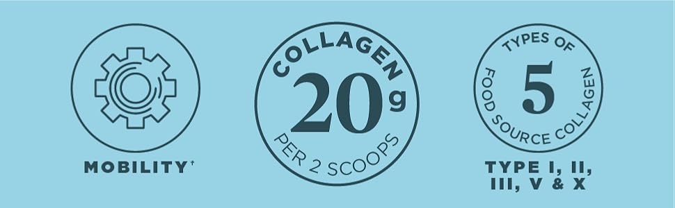 Ancient Nutrition Joint & Mobility