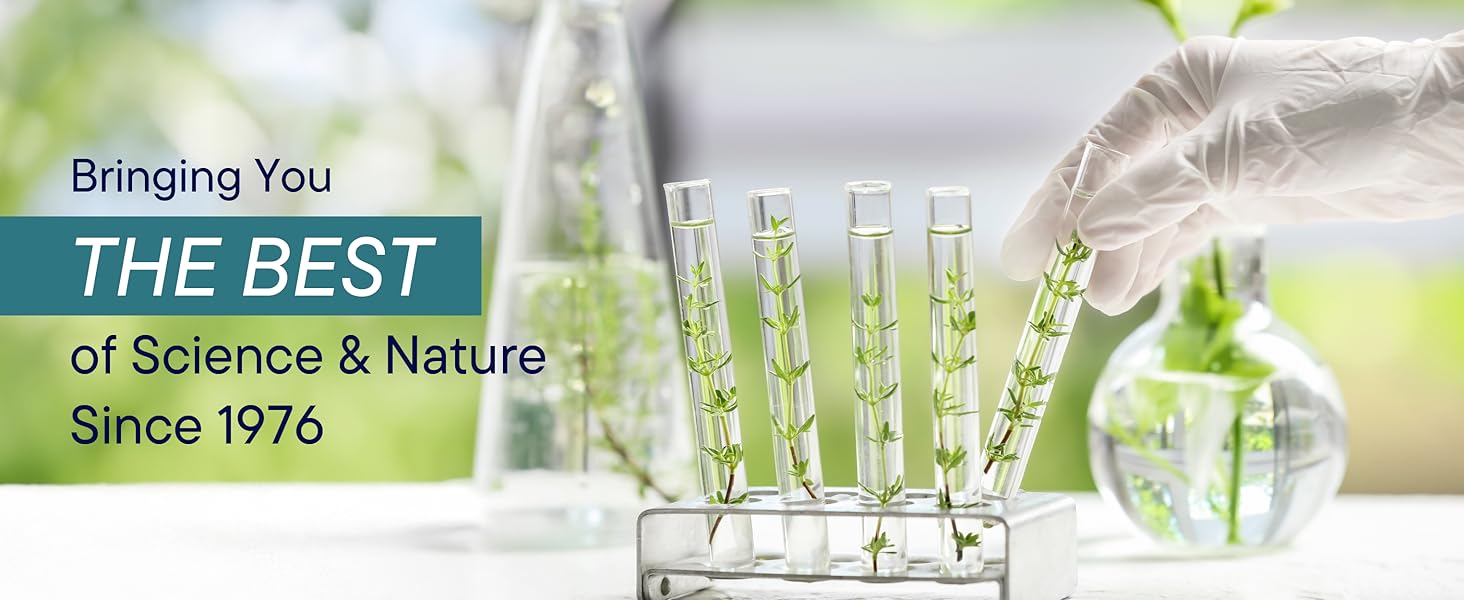 saccharomyces boulardii, saccharomyces boulardii cncm i-745 saccharomyces boulardii probiotics