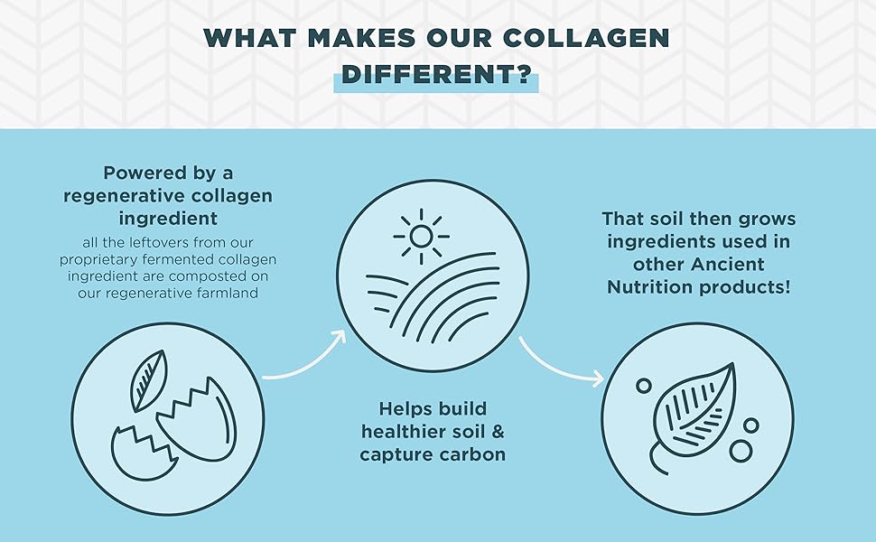 collagen difference