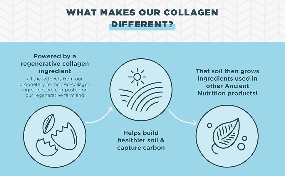 collagen difference
