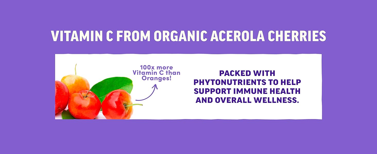 llama naturals kids elderberry gummies