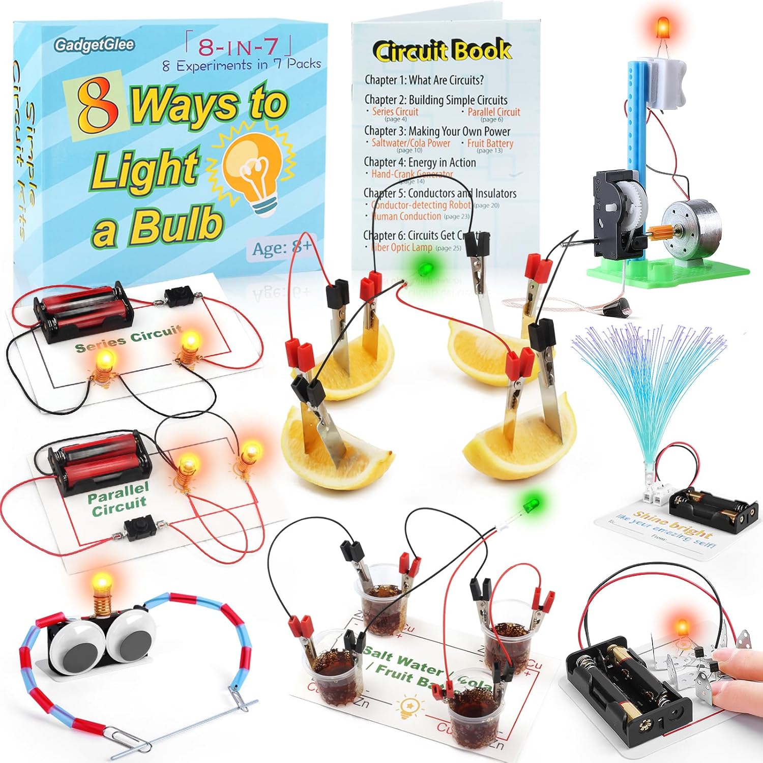 Science Circuit Kit Electricity for Kids, STEM Electrical Light Bulb Experiment, Electric Science Gifts Fair Project Kits Age 8-12, Fruit Energy Experiments Circuits Engineering Projects
