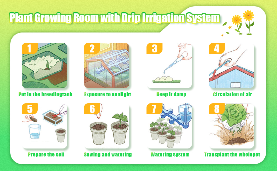 growing kit for kids