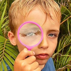 Magnifying glass