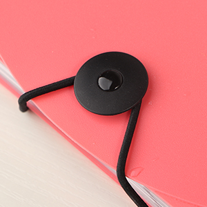 Accordion File Organizer