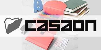 Expandable Accordion File Organize