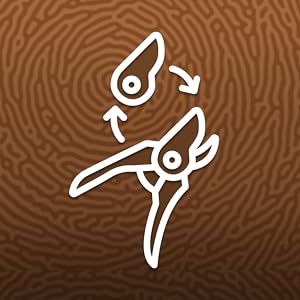 pruners, ratchet pruners, pruning shears, 